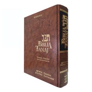 Tanaj - La Biblia Hebrea, Nebiim Ajronim, Profetas posteriores